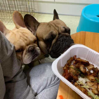 탱이님이 올린 리뷰 사진 1