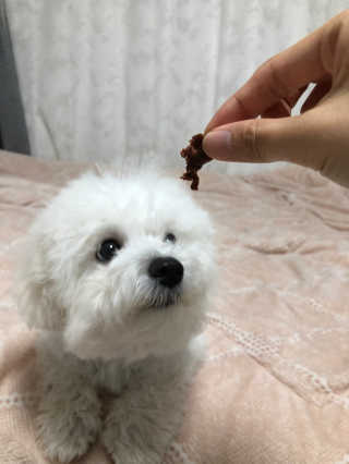 미누시아 촉촉한 닭안심 + 홍삼발효 훈제 말고기 — 3.67점을 준 리뷰어가 2018년 5월 올린 사용 사진