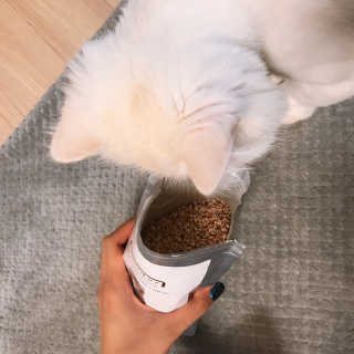 윤느님이 올린 리뷰 사진 2