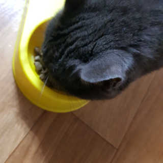 J님이 올린 리뷰 사진 4