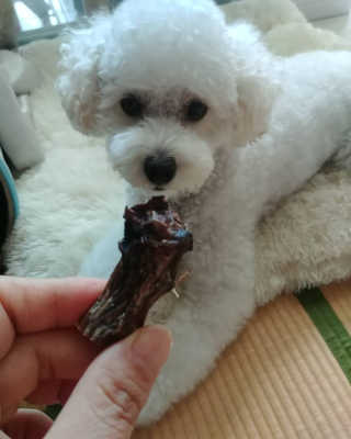 호두맘님이 올린 리뷰 사진 2