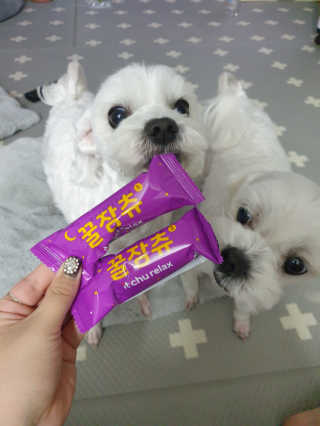 뽀야님이 올린 리뷰 사진 3