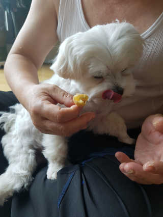 비키님님이 올린 리뷰 사진 1