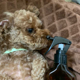 영주맘님이 올린 리뷰 사진 3