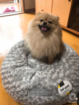 민토리님이 올린 리뷰 사진 2