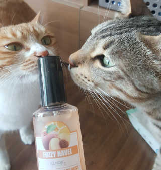달님님이 올린 리뷰 사진 2