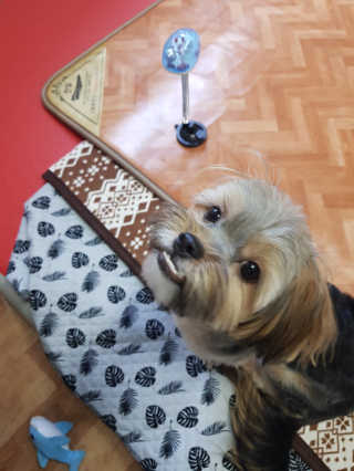 태양님이 올린 리뷰 사진 2