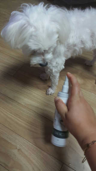 쭈리미~~님이 올린 리뷰 사진 2