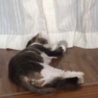 문세인님이 올린 리뷰 사진 2