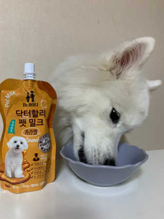 닥터할리펫밀크 8종 — 5점을 준 리뷰어가 2019년 10월 올린 사용 사진
