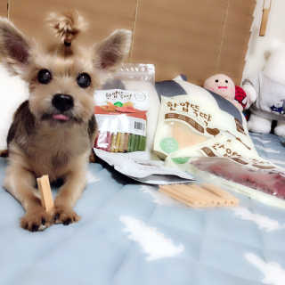 04mini04님이 올린 리뷰 사진 1