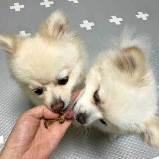 박수진님이 올린 리뷰 사진 2