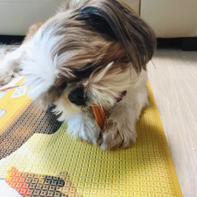 그랑 당그니 리뷰 사진