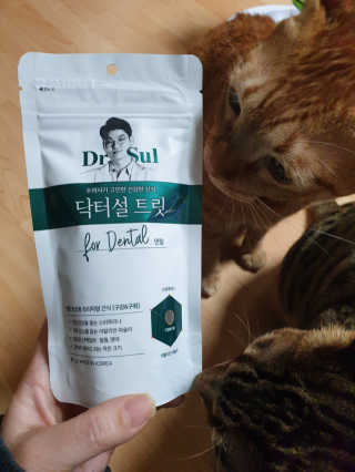 김진영님이 올린 리뷰 사진 2