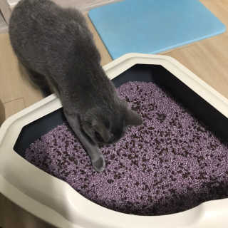 lililiya님이 올린 리뷰 사진 4