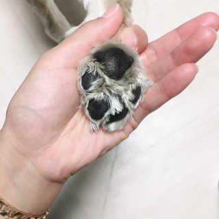 뽀니님이 올린 리뷰 사진 4