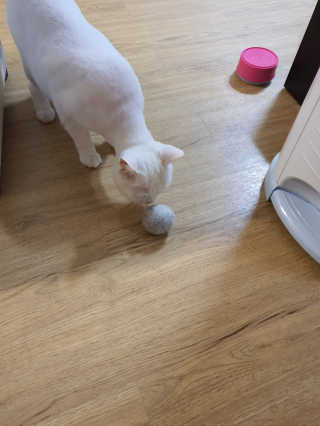 루씨네님이 올린 리뷰 사진 3