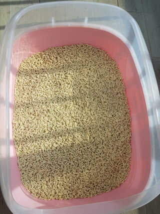 [펫토리아] BEST 고양이두부모래 6L 한삽뚝딱 — 5점을 준 리뷰어가 2019년 2월 올린 사용 사진