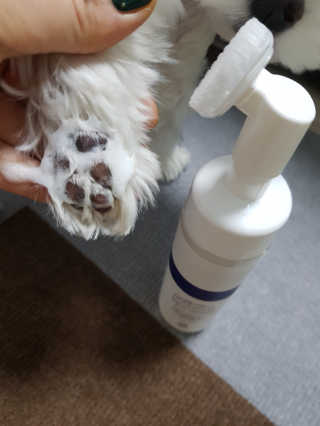 나란여자🤦‍♀️🤷‍♀️💁‍♀️님이 올린 리뷰 사진 2
