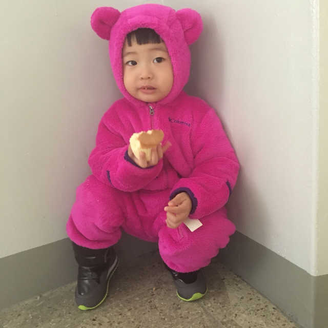 미니위즈 쉴드 리뷰 사진