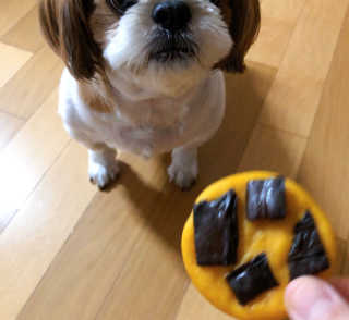 조아조아님이 올린 리뷰 사진 4