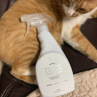 지나조이님이 올린 리뷰 사진 3
