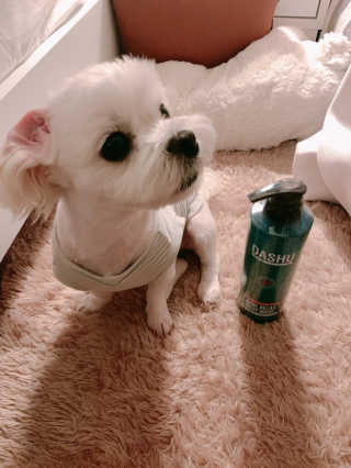 다슈코리아 다슈 데일리 아크네 릴렉스 바디워시 500ml — 4점을 준 리뷰어가 2020년 3월 올린 사용 사진