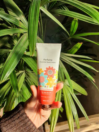 슨님이 올린 리뷰 사진 1