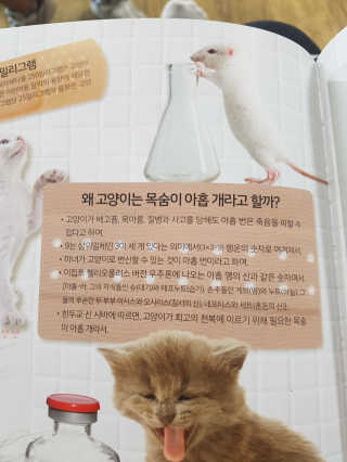 김젼님이 올린 리뷰 사진 2