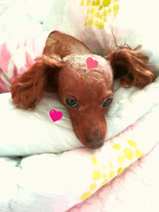 JieunKwon님이 올린 리뷰 사진 1