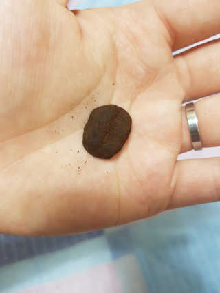 리폴님이 올린 리뷰 사진 3