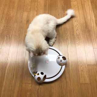 한글라쓰님이 올린 리뷰 사진 2
