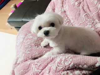 콩순이엄마님이 올린 리뷰 사진 3