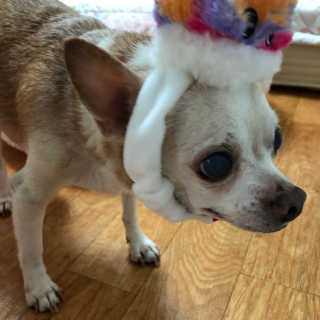 나는야님이 올린 리뷰 사진 2