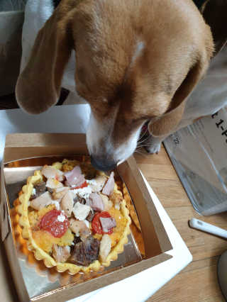 beaglelove님이 올린 리뷰 사진 1