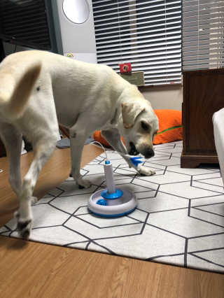 정봐기린님이 올린 리뷰 사진 1