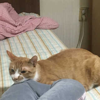 조이님이 올린 리뷰 사진 2