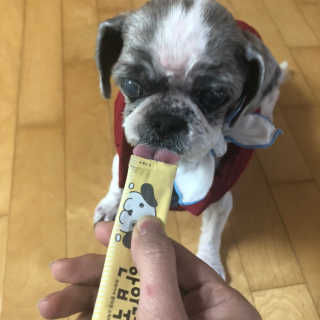 카리니님이 올린 리뷰 사진 1