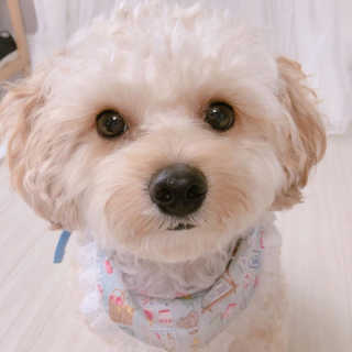 러브제이님이 올린 리뷰 사진 1