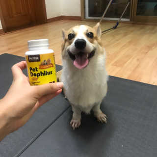 재로우 제로우 펫 도필러스 반려동물 유산균 영양제 70.5g — 5점을 준 리뷰어가 2018년 8월 올린 사용 사진