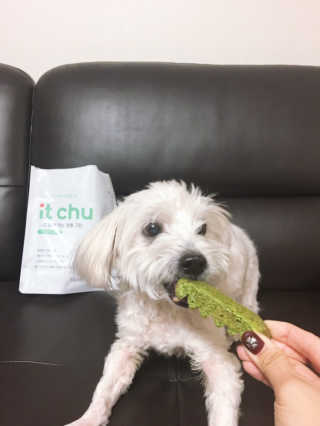 아이린지니님이 올린 리뷰 사진 3