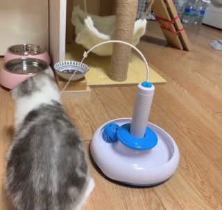 이가빈님이 올린 리뷰 사진 2