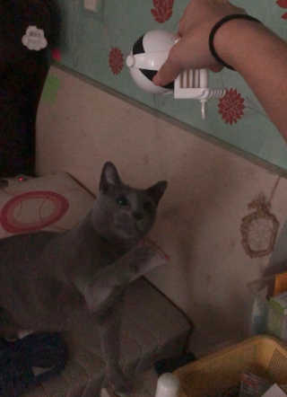 saljombbaeyub님이 올린 리뷰 사진 3