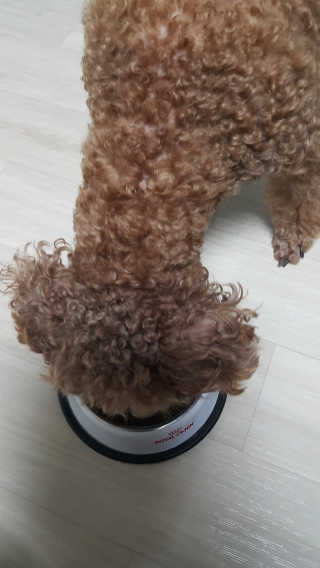 준맘님이 올린 리뷰 사진 3