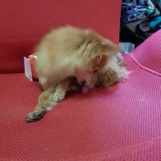 금진영님이 올린 리뷰 사진 2