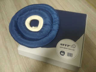 아르르 UFO 넥카라 (navy, gray) — 5점을 준 리뷰어가 2017년 10월 올린 사용 사진