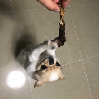 지애님이 올린 리뷰 사진 1