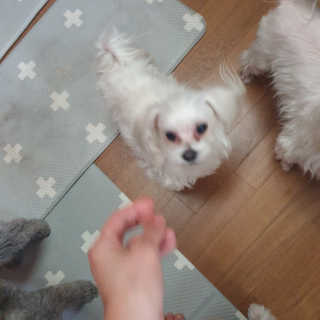 포비맘님이 올린 리뷰 사진 3
