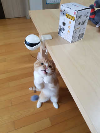 롤리팝님이 올린 리뷰 사진 2