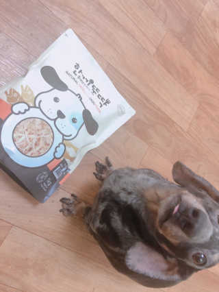 [펫토리아] 맛도 영양도 BEST 한끼뚝딱 강아지 사료 — 5점을 준 리뷰어가 2019년 4월 올린 사용 사진